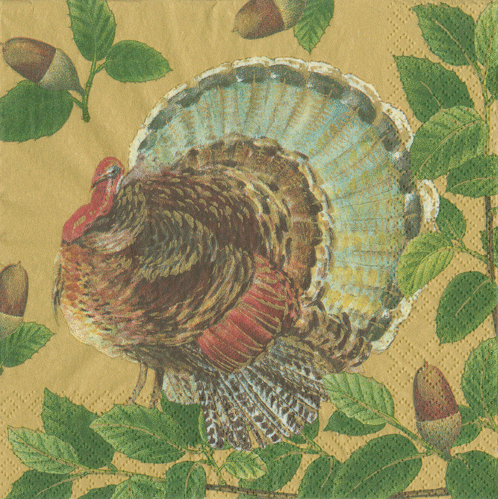 Turkey and Acorns Gold Boxed Cocktail Napkins